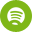 Spotify icon
